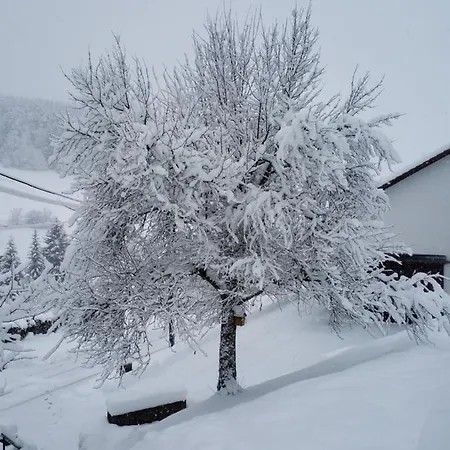 Sohlhof 4*
