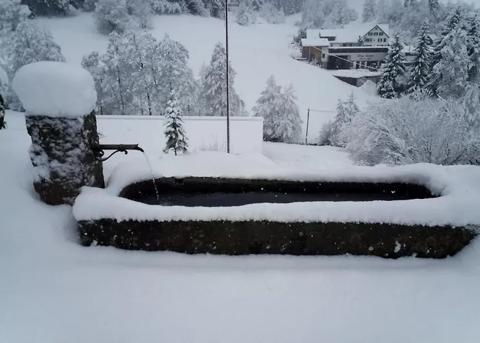 Sohlhof 바이에르스브론