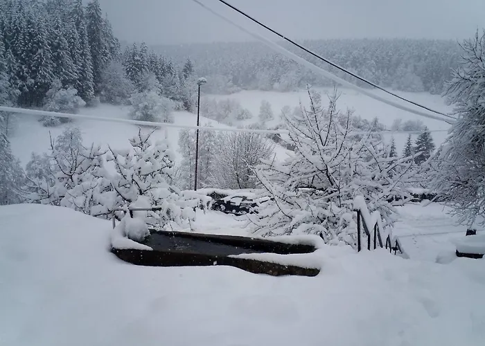 Sohlhof 바이에르스브론