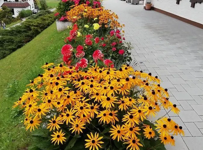 Sohlhof 게스트하우스 바이에르스브론