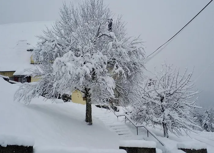 Sohlhof 게스트하우스 바이에르스브론