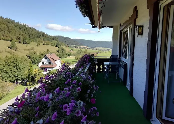 Sohlhof 바이에르스브론