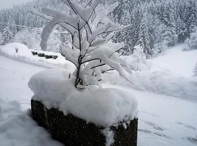 게스트하우스 Sohlhof