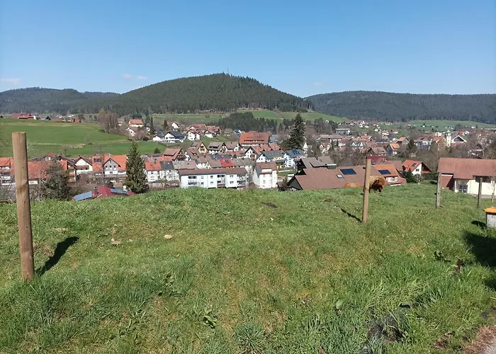 게스트하우스 Sohlhof 3*