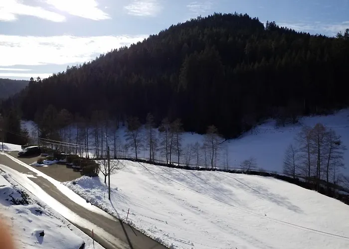 Sohlhof 게스트하우스 바이에르스브론